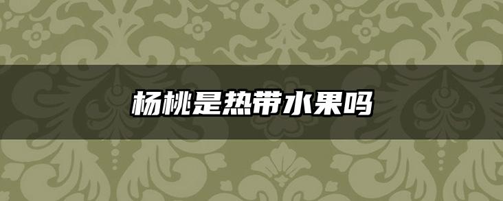 杨桃是热带水果吗