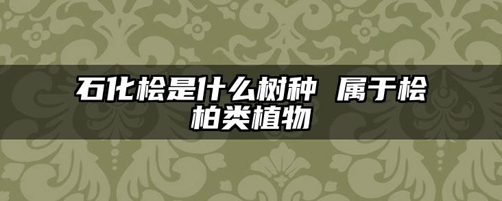 石化桧是什么树种 属于桧柏类植物