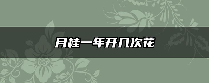 月桂一年开几次花