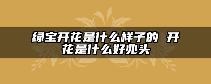 绿宝开花是什么样子的 开花是什么好兆头