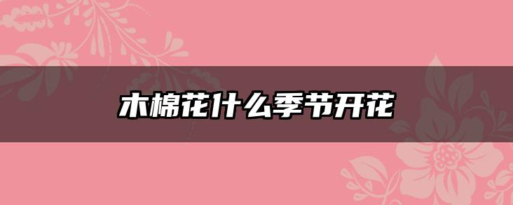 木棉花什么季节开花