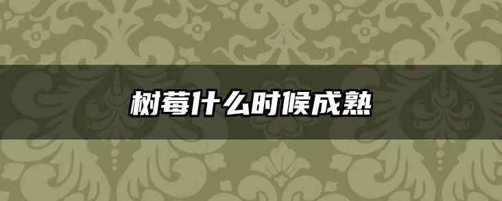 树莓什么时候成熟