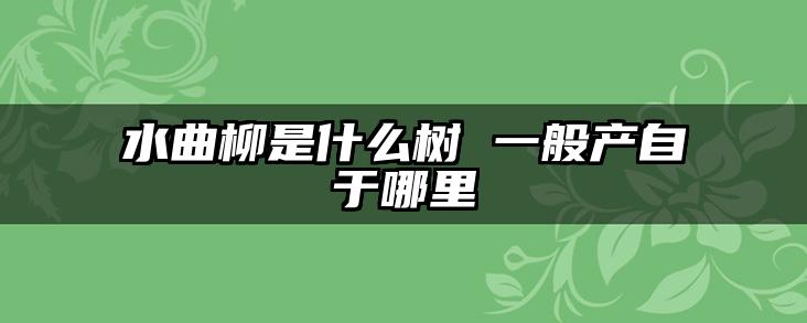 水曲柳是什么树 一般产自于哪里