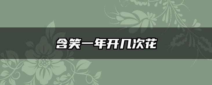 含笑一年开几次花
