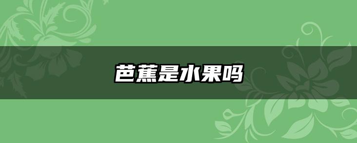 芭蕉是水果吗