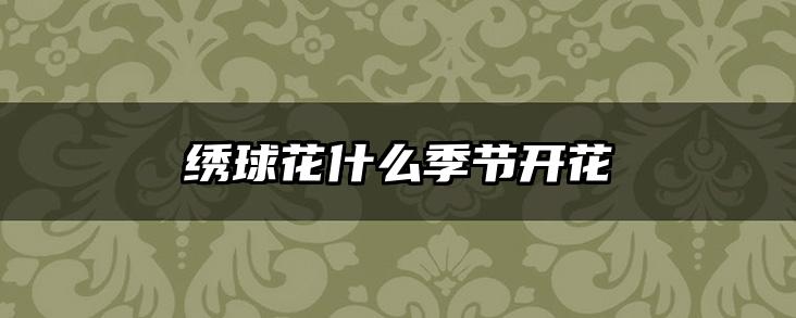 绣球花什么季节开花