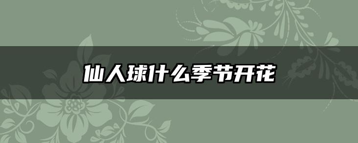 仙人球什么季节开花