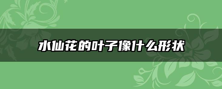 水仙花的叶子像什么形状