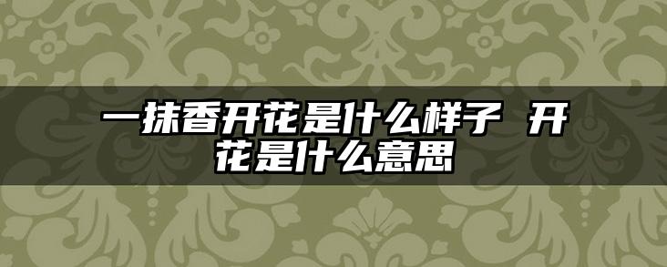 一抹香开花是什么样子 开花是什么意思