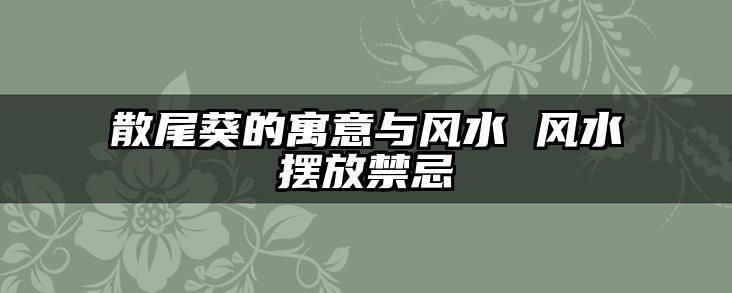 散尾葵的寓意与风水 风水摆放禁忌
