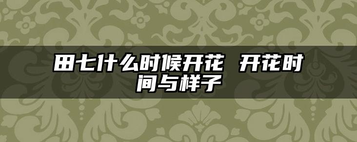 田七什么时候开花 开花时间与样子