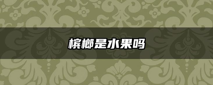 槟榔是水果吗