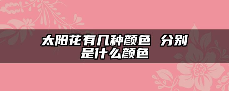太阳花有几种颜色 分别是什么颜色