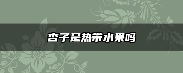 杏子是热带水果吗