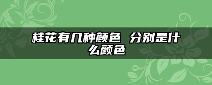 桂花有几种颜色 分别是什么颜色