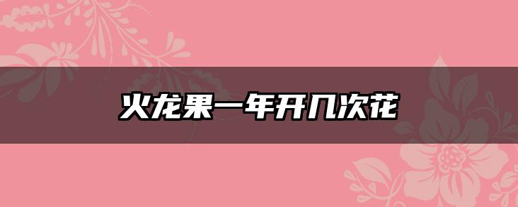 火龙果一年开几次花