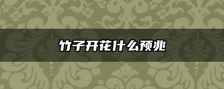 竹子开花什么预兆