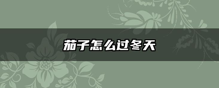 茄子怎么过冬天