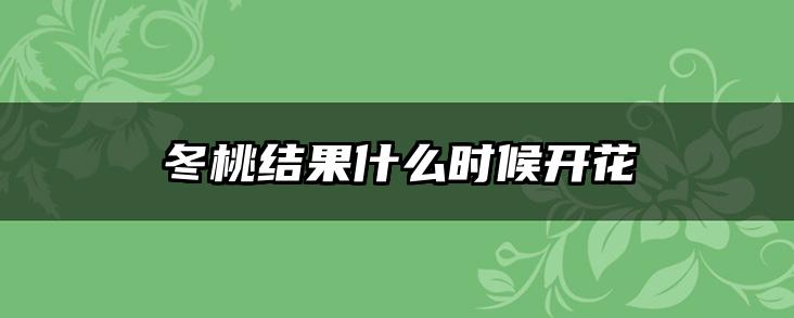 冬桃结果什么时候开花