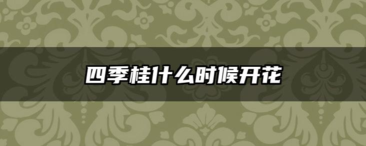 四季桂什么时候开花