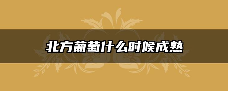 北方葡萄什么时候成熟