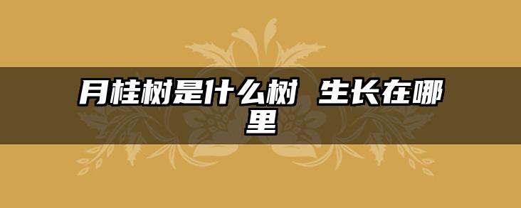 月桂树是什么树 生长在哪里