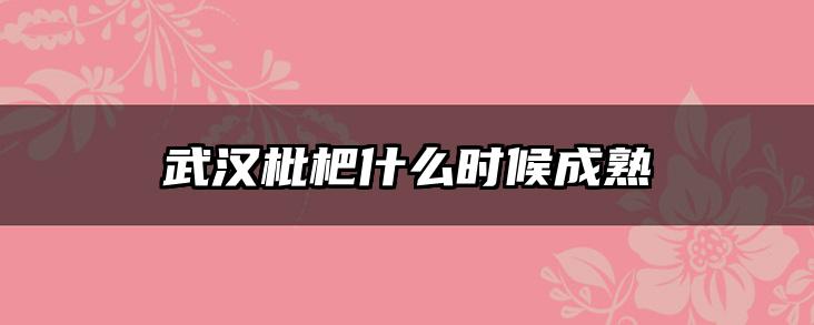 武汉枇杷什么时候成熟