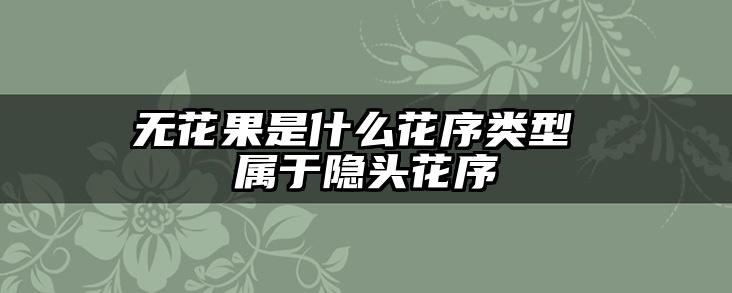 无花果是什么花序类型 属于隐头花序