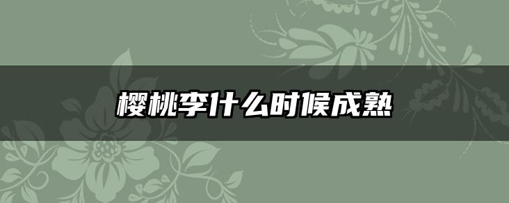 樱桃李什么时候成熟
