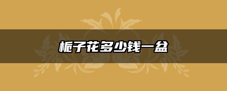 栀子花多少钱一盆
