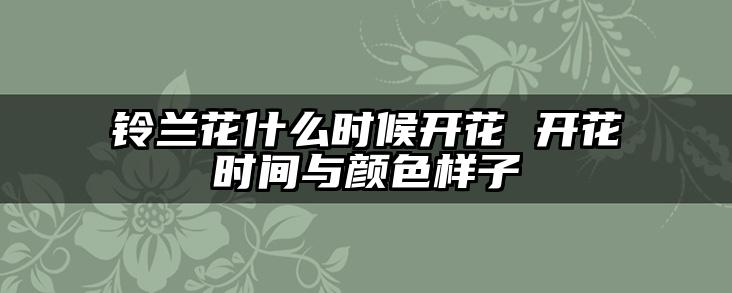 铃兰花什么时候开花 开花时间与颜色样子