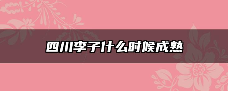 四川李子什么时候成熟