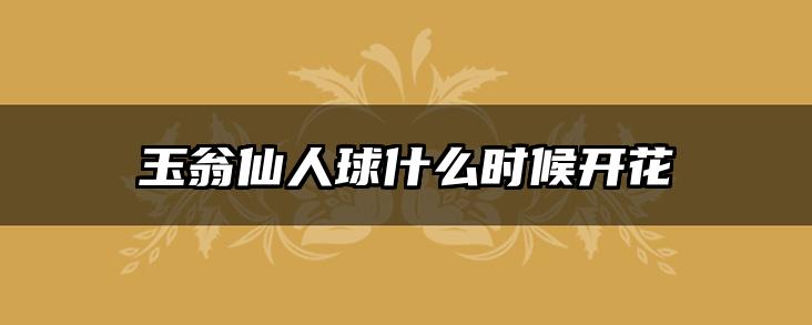 玉翁仙人球什么时候开花