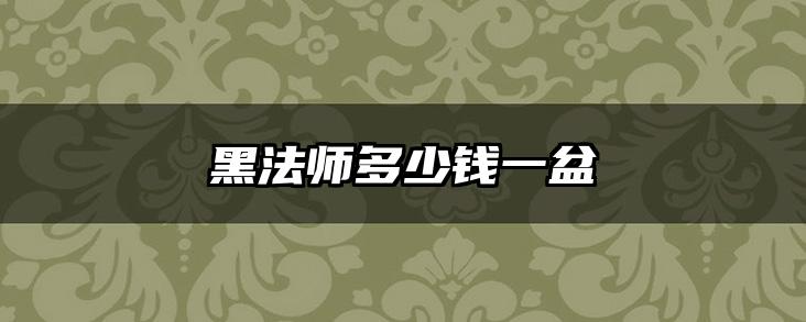 黑法师多少钱一盆