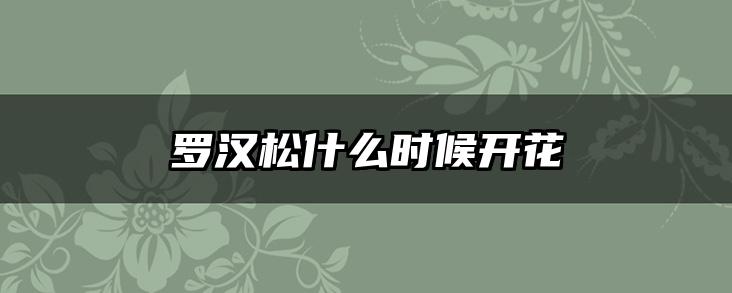 罗汉松什么时候开花