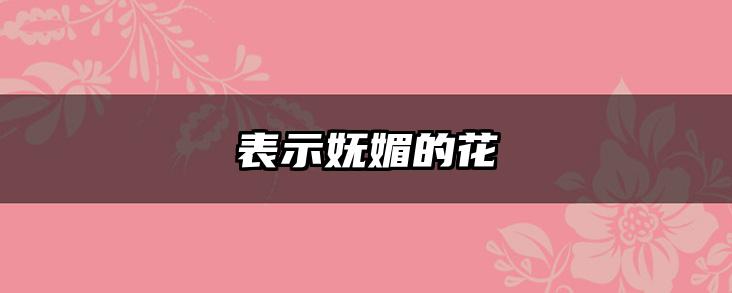 表示妩媚的花