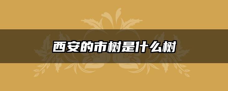西安的市树是什么树