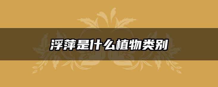 浮萍是什么植物类别