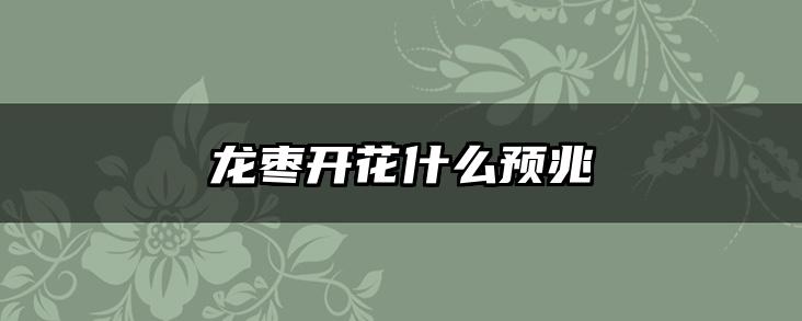 龙枣开花什么预兆