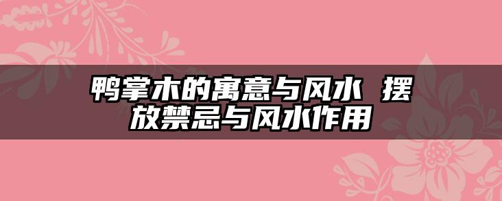 鸭掌木的寓意与风水 摆放禁忌与风水作用
