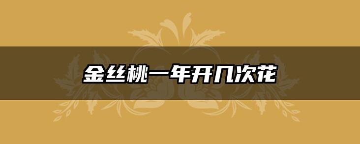 金丝桃一年开几次花