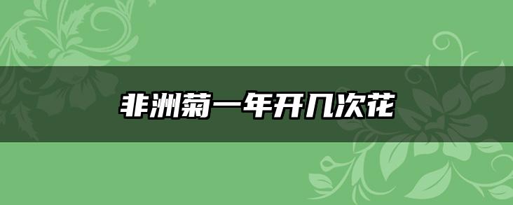 非洲菊一年开几次花