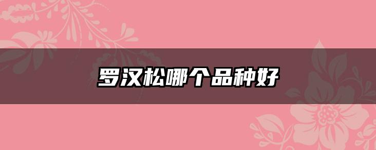 罗汉松哪个品种好