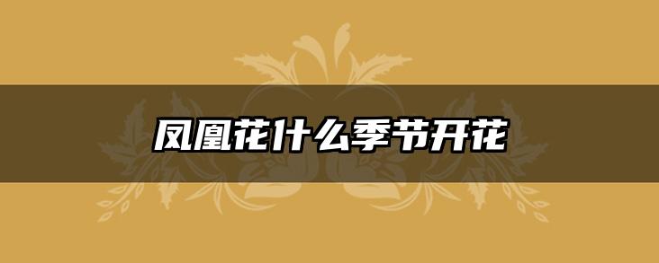 凤凰花什么季节开花