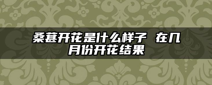 桑葚开花是什么样子 在几月份开花结果