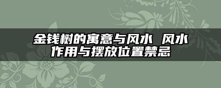 金钱树的寓意与风水 风水作用与摆放位置禁忌
