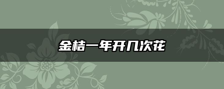 金桔一年开几次花
