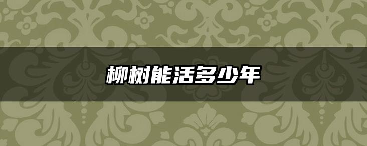 柳树能活多少年