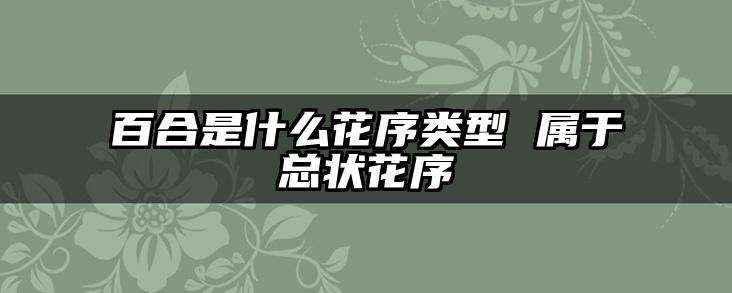 百合是什么花序类型 属于总状花序