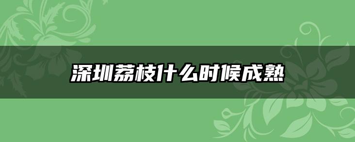深圳荔枝什么时候成熟